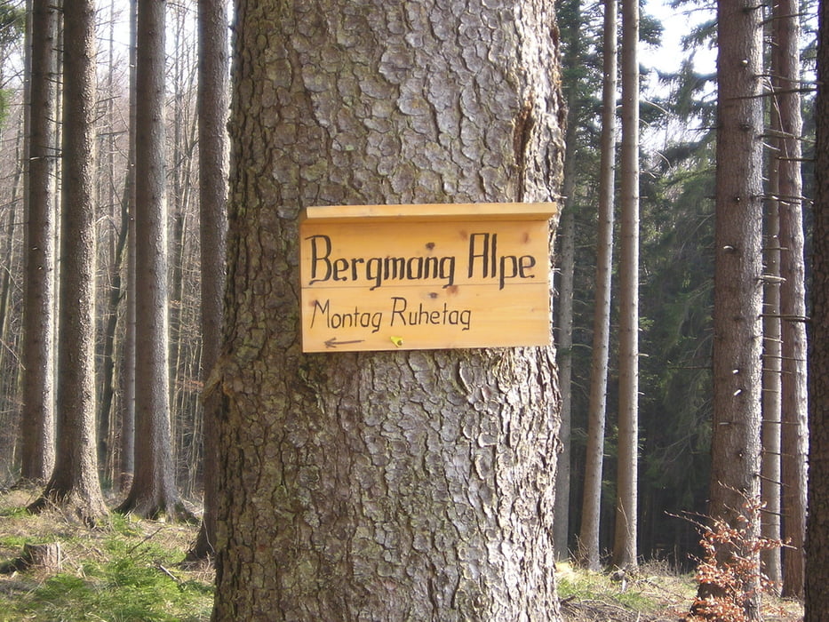 Bergmang Alpe