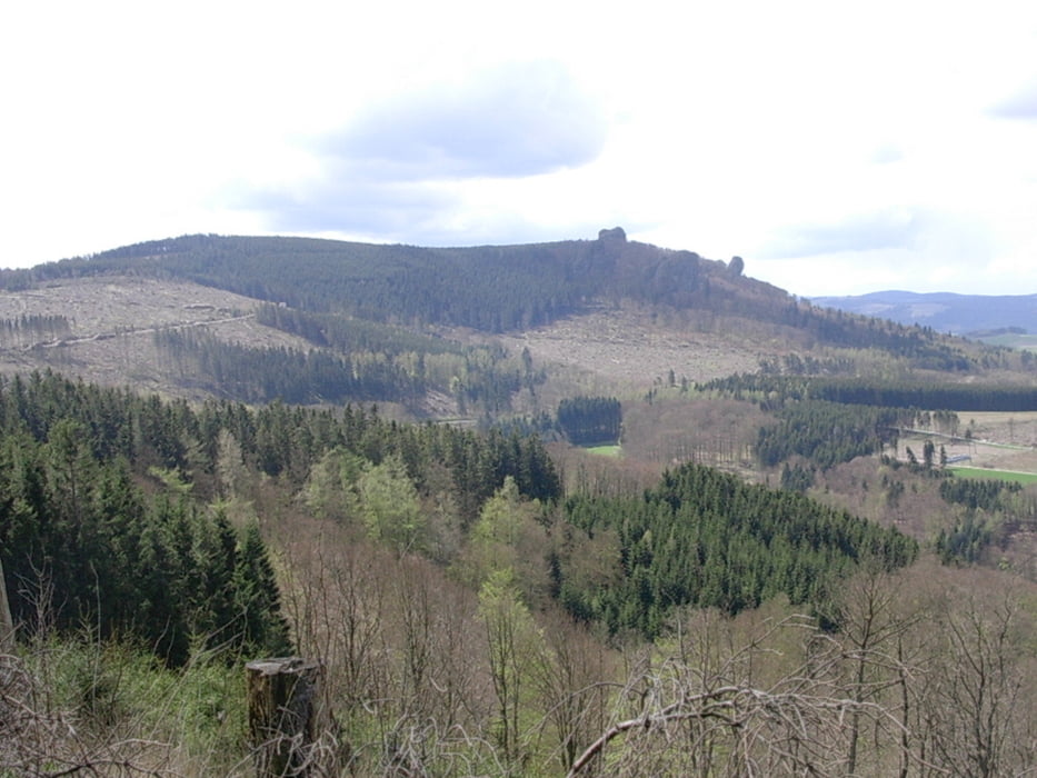 Padberg- Brilon-Padberg