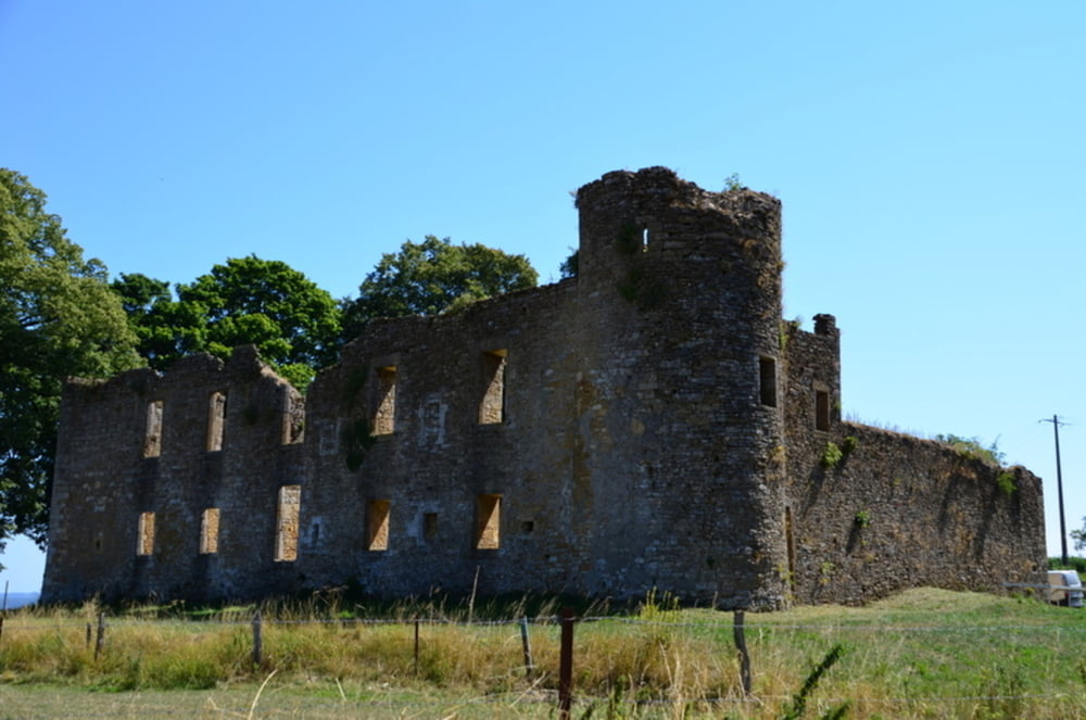 Montmedy, Torgny en Montquintin