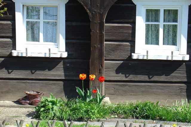 Grenzlandtour & Spreequelle