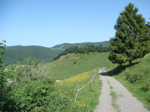 Bernau-Krunkelbachhütte