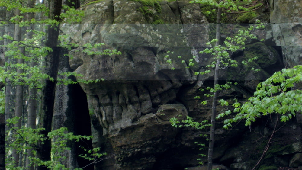 Müllertal-Consdorf-Müllertal