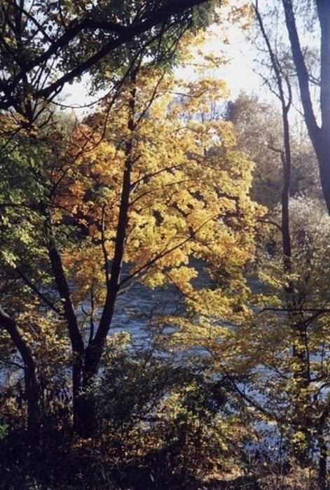 Rundkurs --> Lechhausen-Friedberg-Mergentau-Kissing-Mering-SS23-Lech flussabwärts-Lechausen