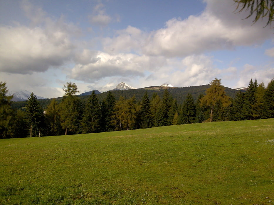 Wurzeralm