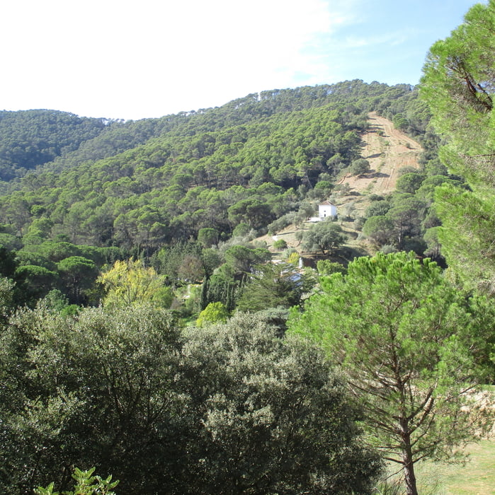 Parque Natural Montes de Malaga