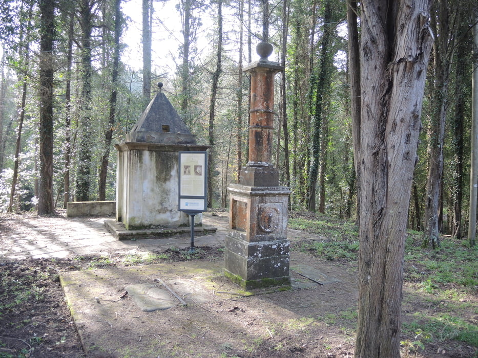 18_Dichter Wald, ein treuer Begleiter und schöne Weitsicht