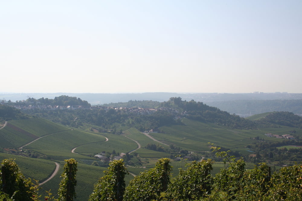 Von Fellbach über den Württemberg