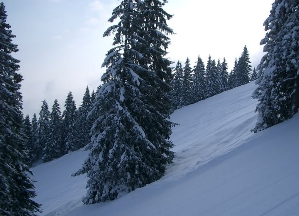 Power Ski Garmisch