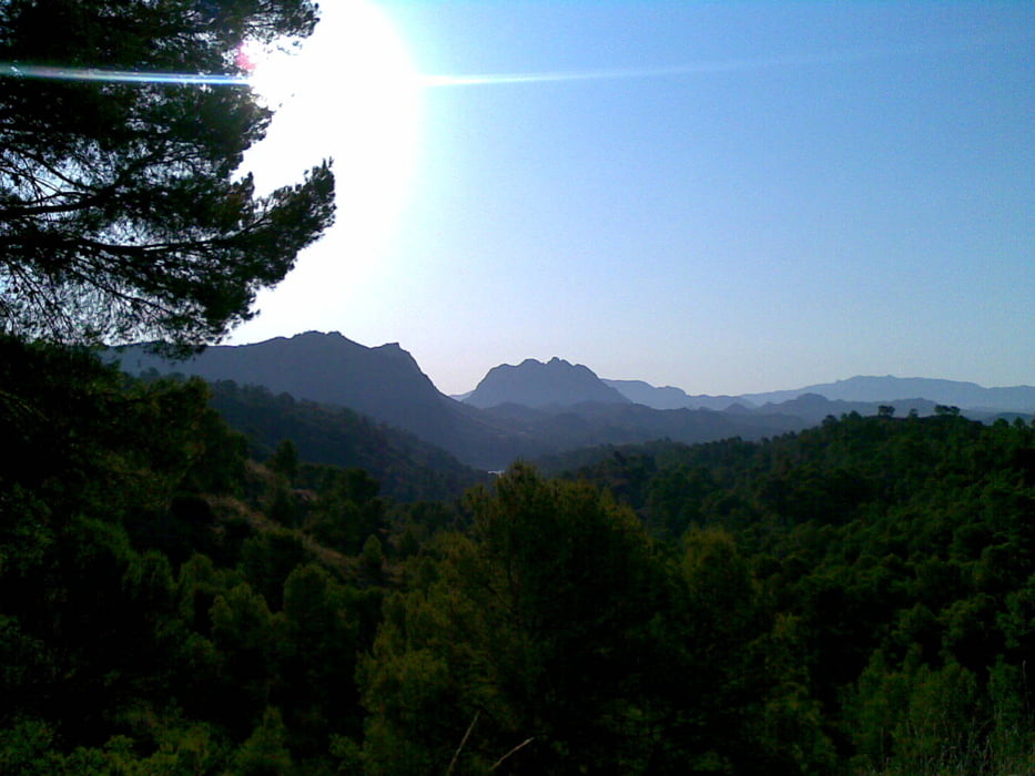 El Almorchón
