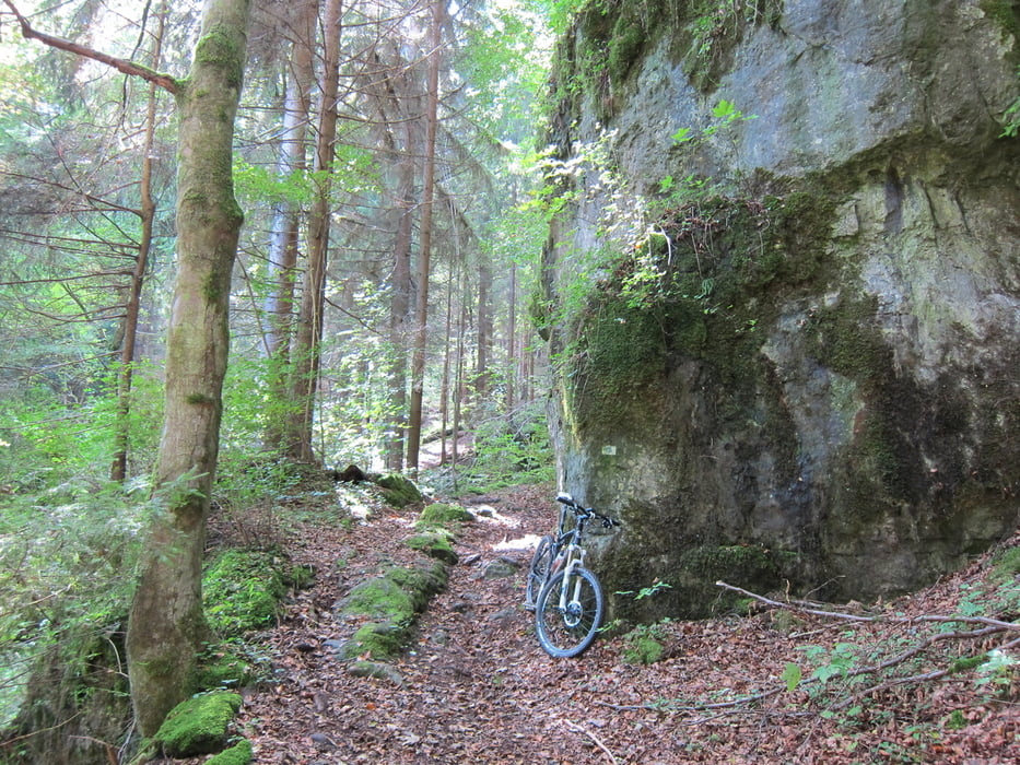 SingleTrails: Pegnitz - Pottenstein