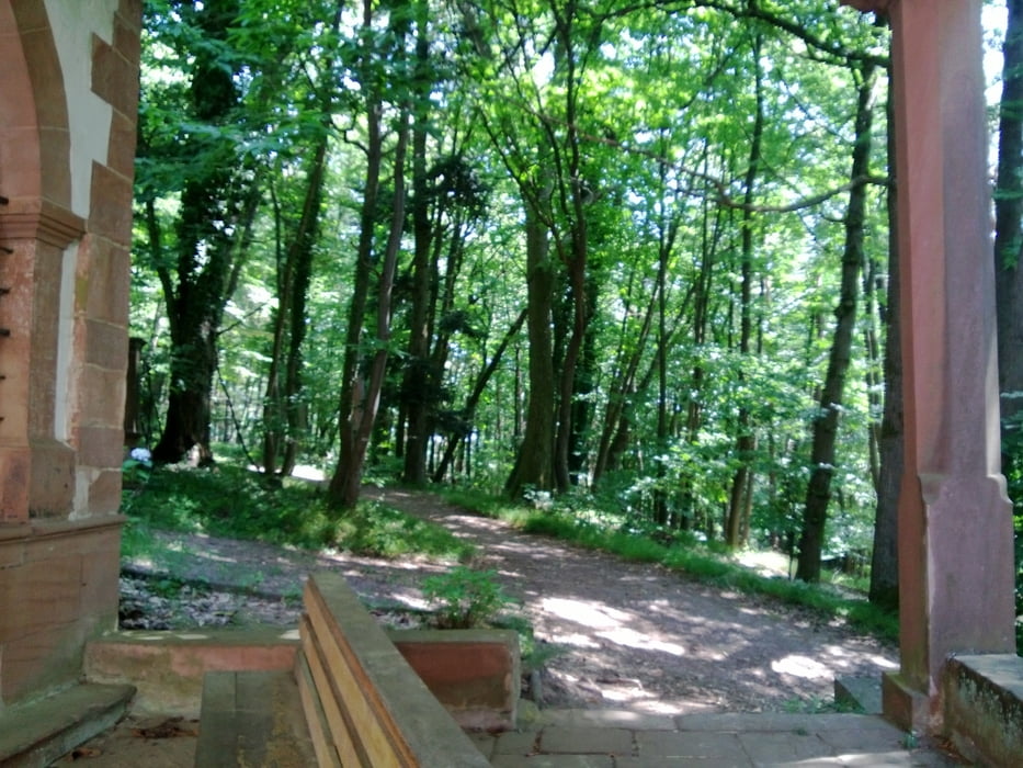 Hinauf zum Scheffelberg