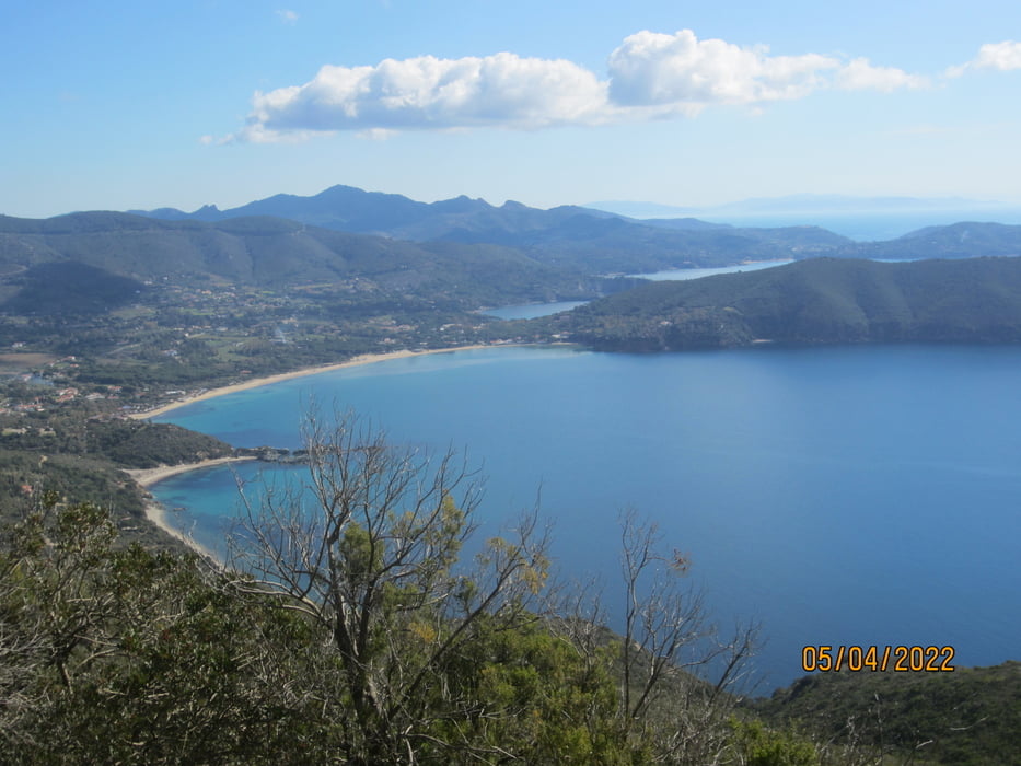 Von Lacona nach Marina di Campo/Forststrasse