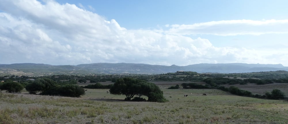 Von Vignola Mare nach Agliuentu (Variante lang)