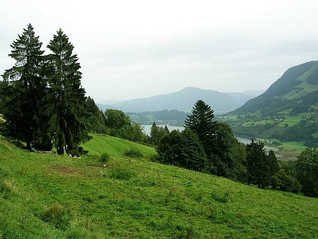 Einsame Touren - Zum Großen Alpsee (Allgäu)