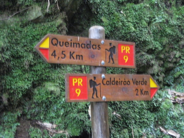 Madeira Caldeirao Verde