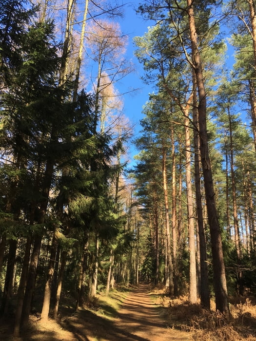 Ueckeritz - Neu Pudagla - Wockninsee - Bansin