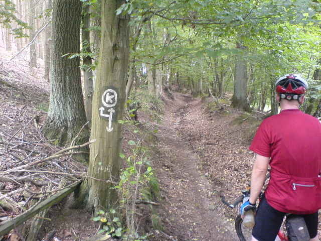 Der Kalletalpfad (K-Weg)