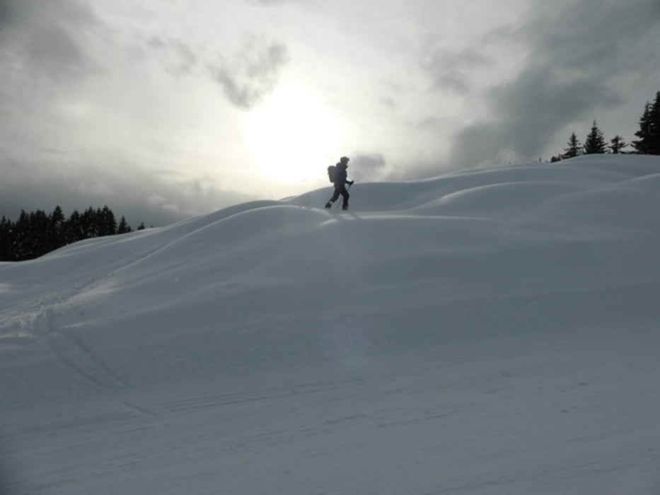 Naggler Alm