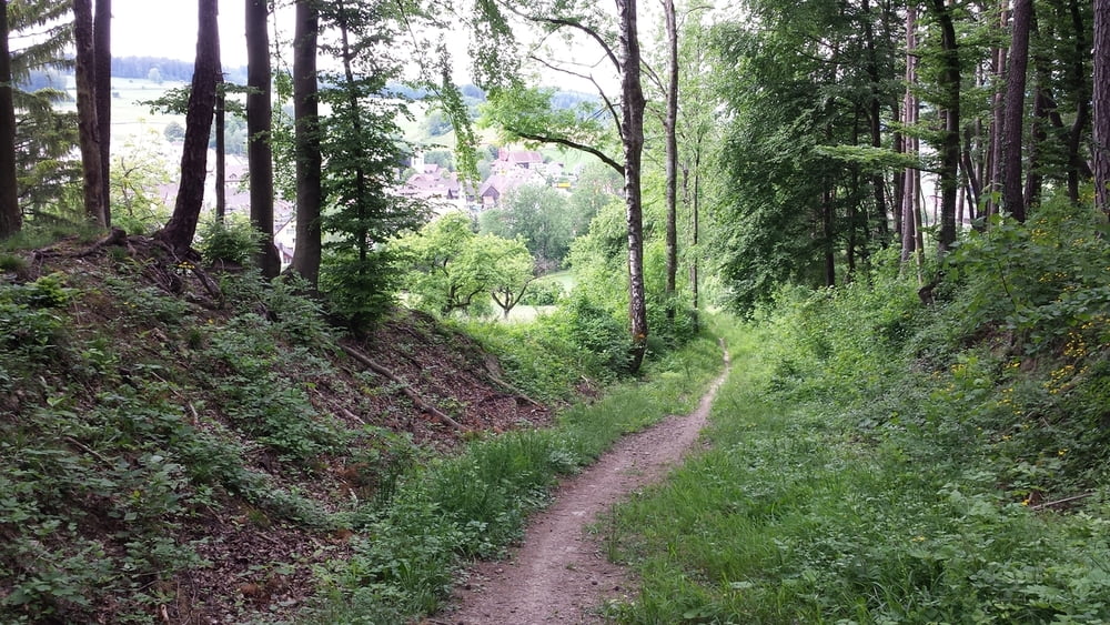 Dietlikon - Lufingen