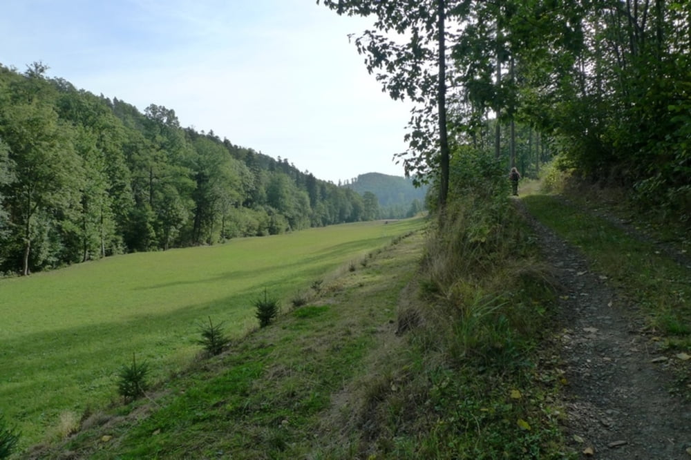 Przełęcz Srebrna - Przełęcz Wilcza - Czeski Las - Przełęcz Srebrna