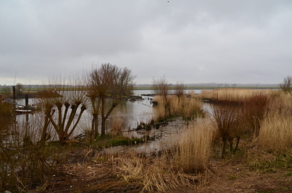 Alblasserwaard wandeling