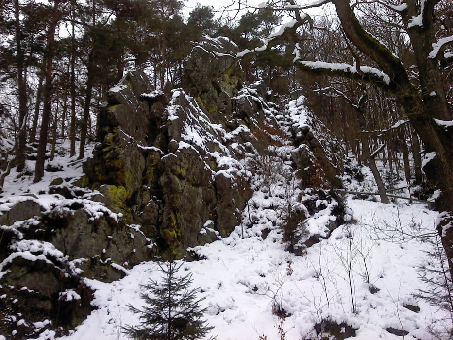 Karnevalswanderung 2013