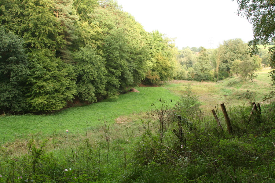 Ardeytrail 1
