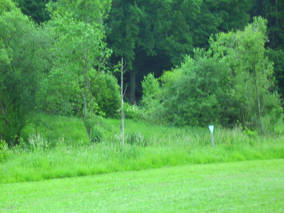 Steinberg Wangen Wiblingen