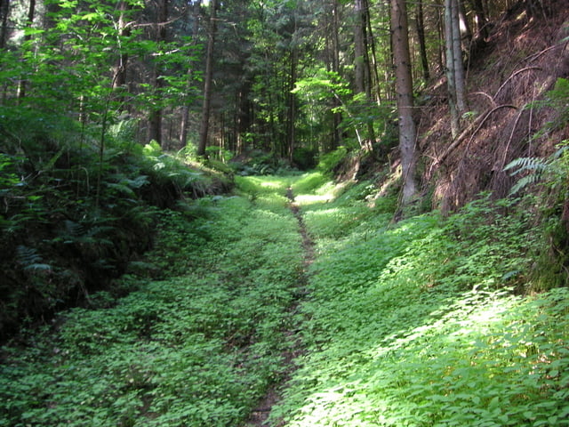 Haugstein