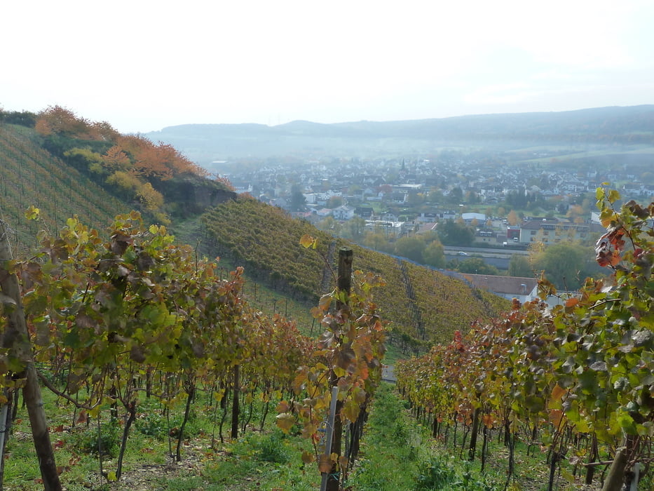 Rotweinwanderweg1 aus Rother Wanderführer -Eifel- Nr. 26