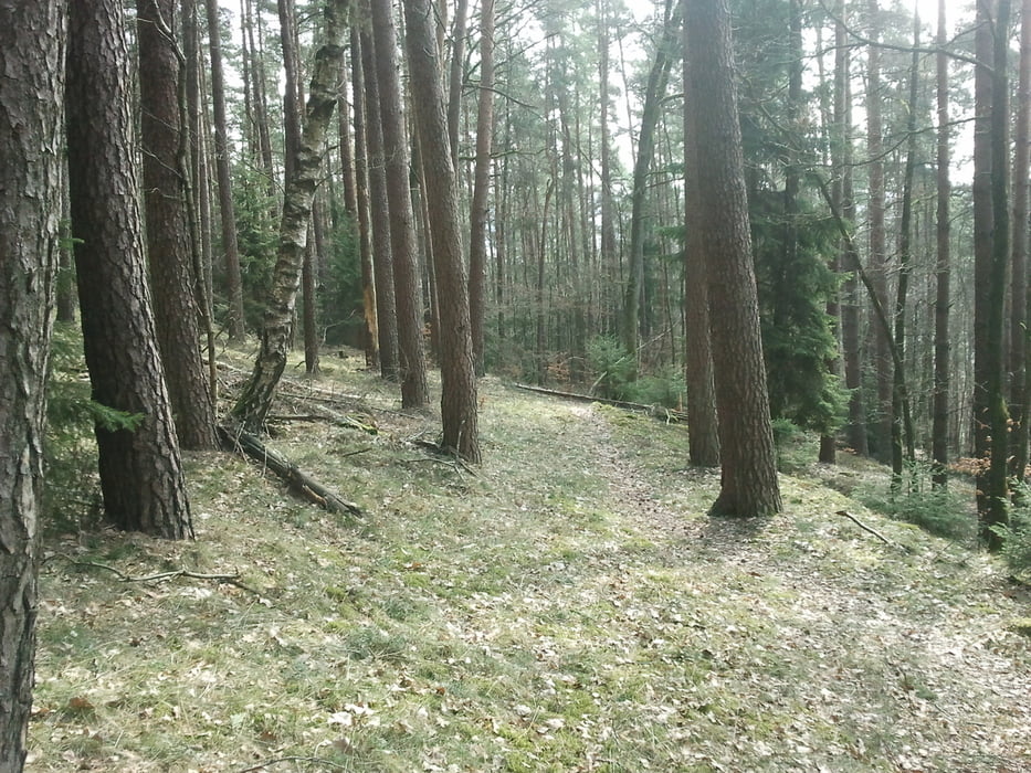 Kaltern - Gummererhof - Graun und retour