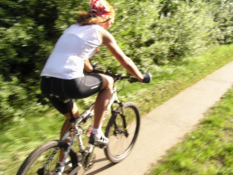 Auf Single Trails der Schwentine entlang fahren!