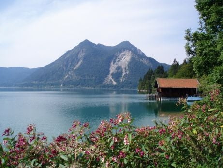 Walchensee Hochkopf Singletrails