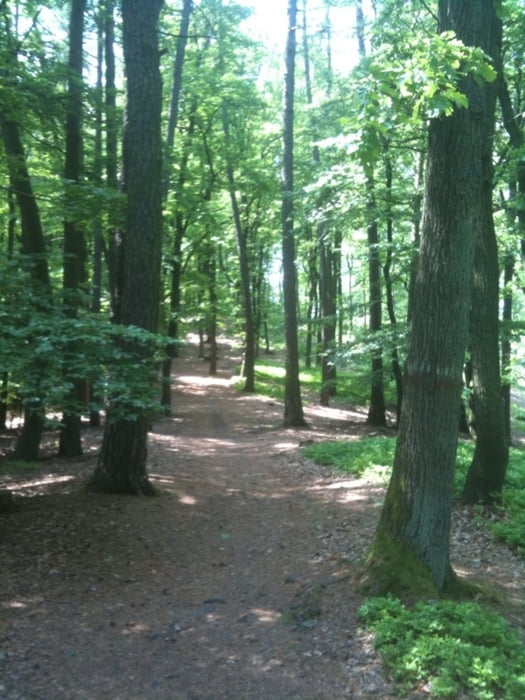 Rundweg Alzenau - Hahnenkamm