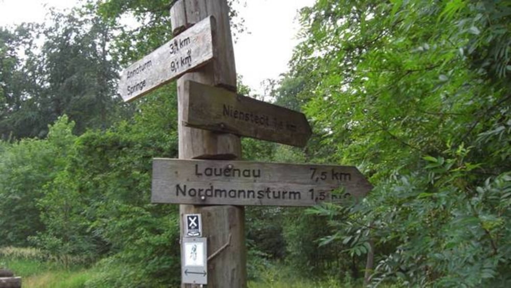 Deister M01 (Trails im Deister)