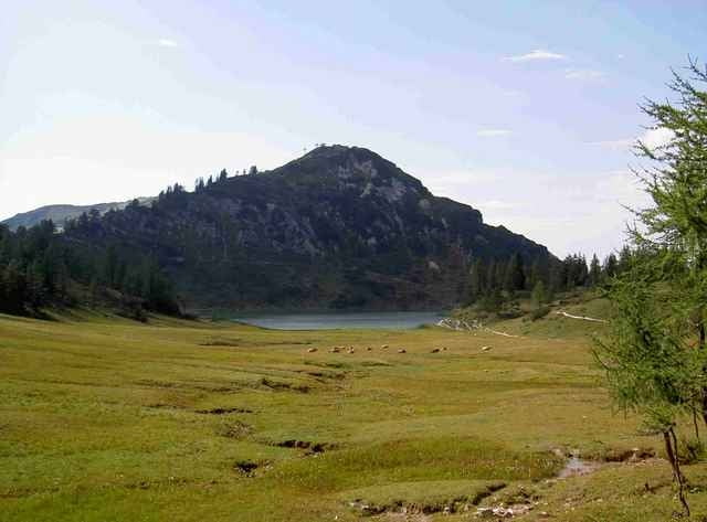 Tauplitzalm