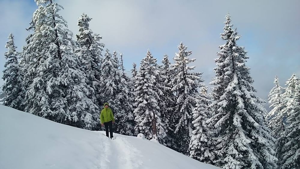 Riederstein
