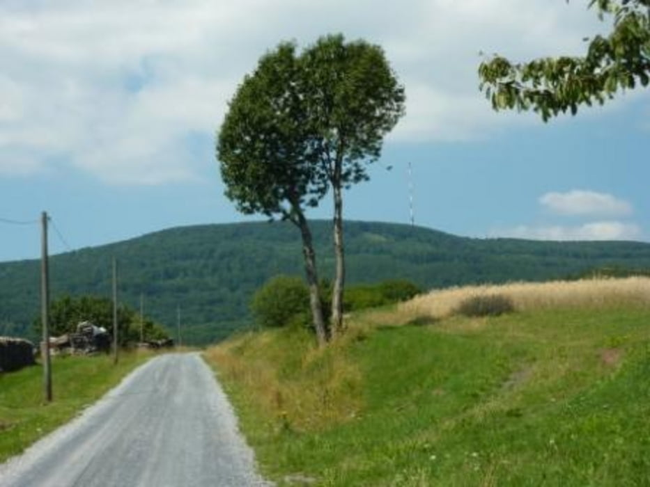 Waldberg-Kreuzberg