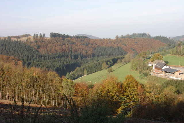 Tour 3 von Langewiese