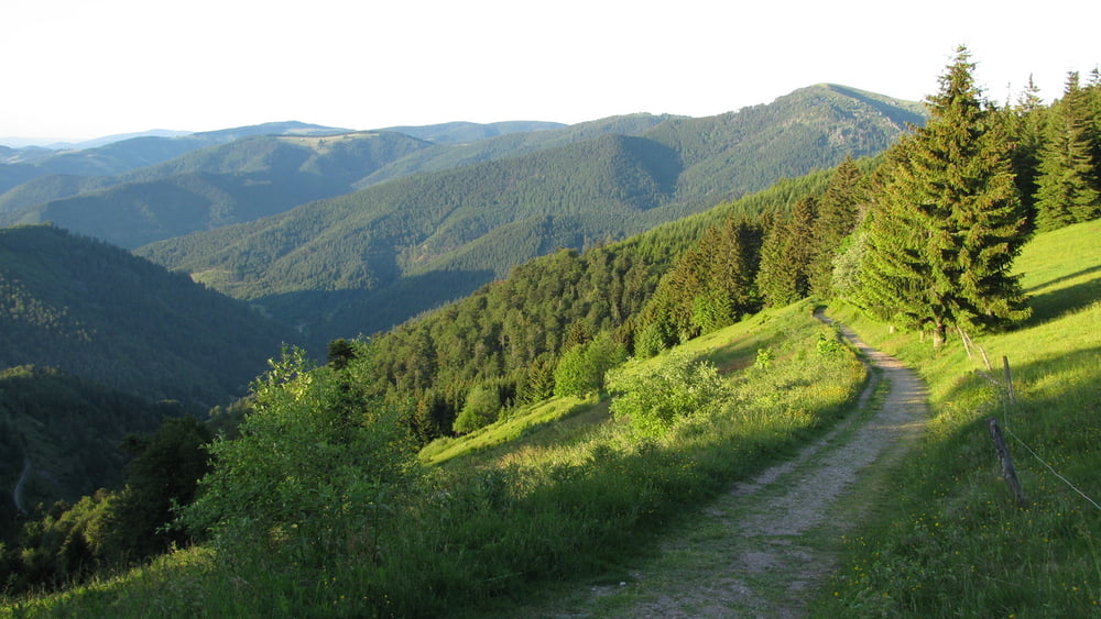 Großer Südschwarzwald - Panoramazirkel