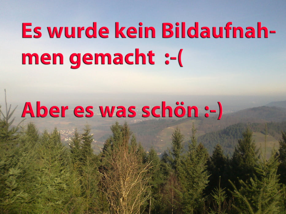 Heiligenzell-Rebmesserstein (25.4 km Rund)