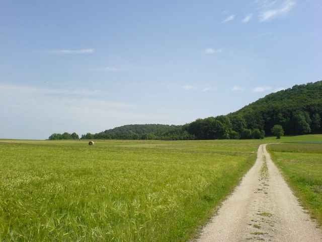 Boller Feierabendrunde