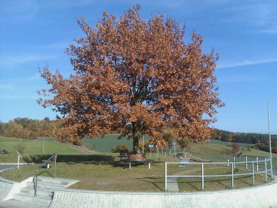 Zum Sonnenkreis von Magersdorf