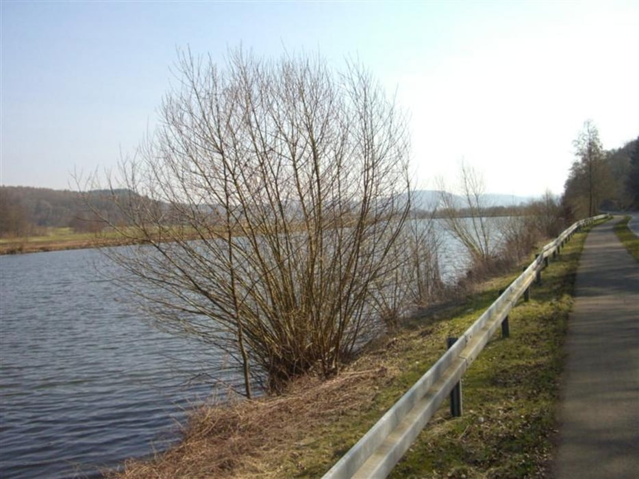 Steinerne Gefährten