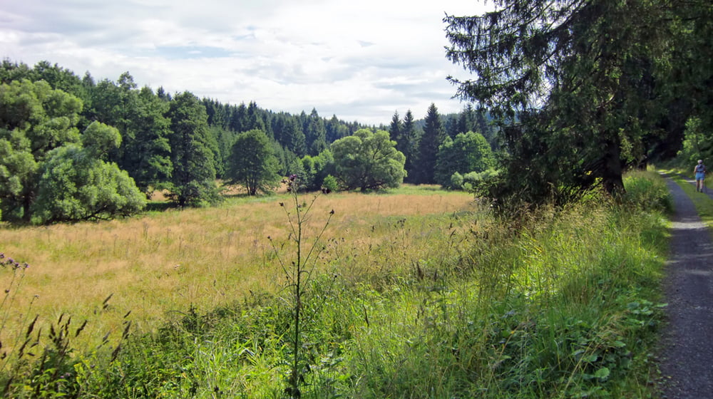 Braunlage - Wildererstein