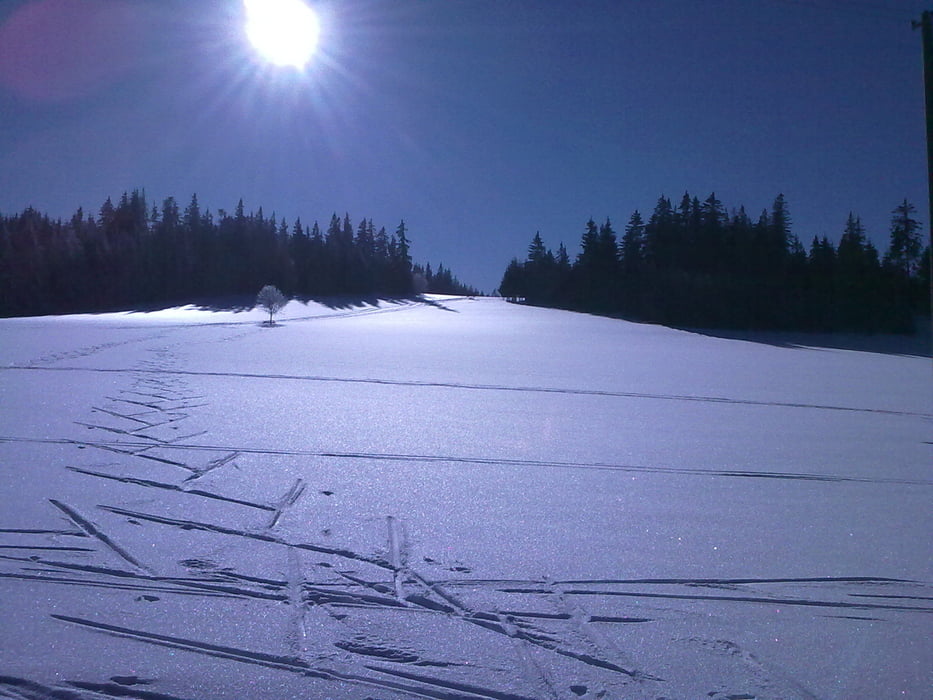 Thurnerspur - Langlaufloipe - Hochschwarzwald