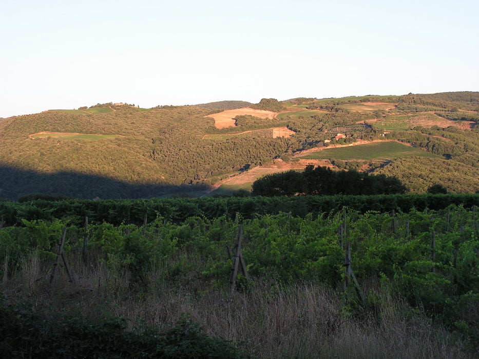 Montalcino, tne sweetness of the Brunello ans San Antimo