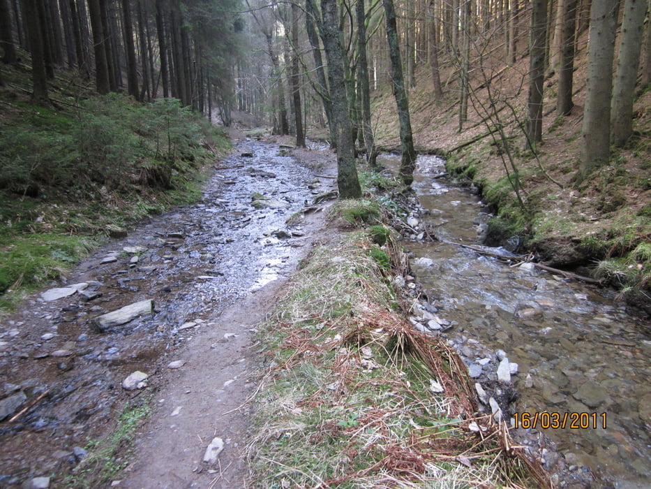 durch das wilde Tal Tro Maret (Ardennen)
