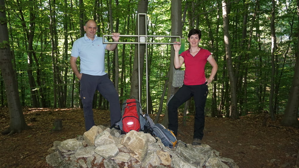 Elm ZW03 (Lucklum-Eilumer Horn)