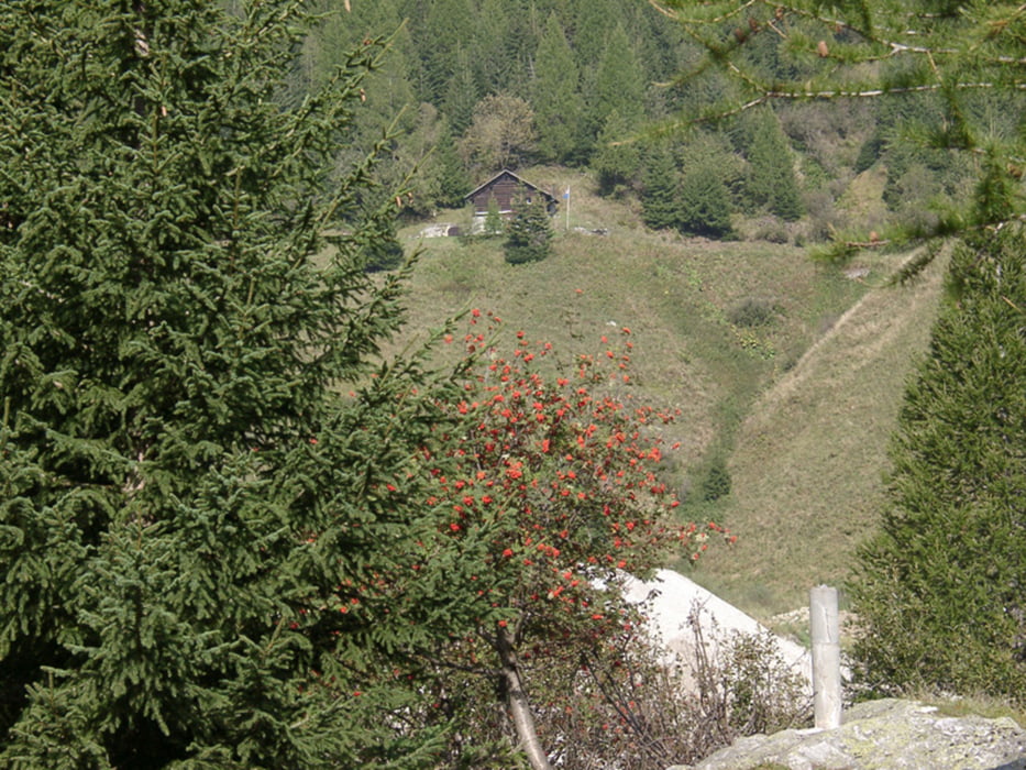 Valle Bedretto - giro degli Alpi